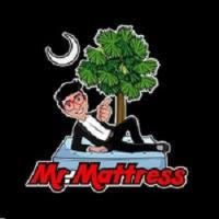 Mr. Mattress image 1